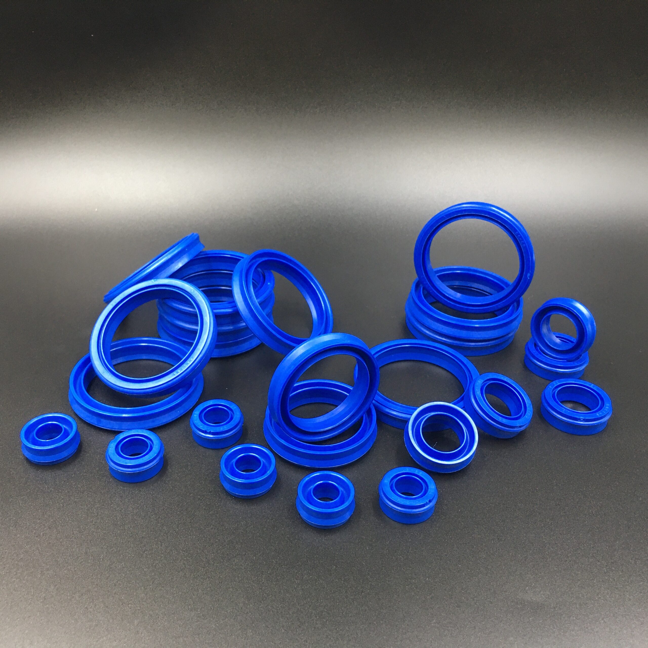 Pneumatic Seals